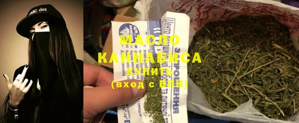 гашик Вяземский